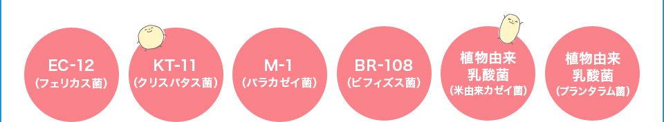 EC-12(フェリカス菌)・KT-11(クリスパタス菌)・M-1(パラカゼイ菌)・BR-108(ビフィズス菌)・植物由来乳酸菌(米由来カゼイ菌)・植物由来乳酸菌(プランタラム菌)