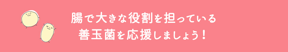 腸で大きな役割を担っている善玉菌を応援しましょう！