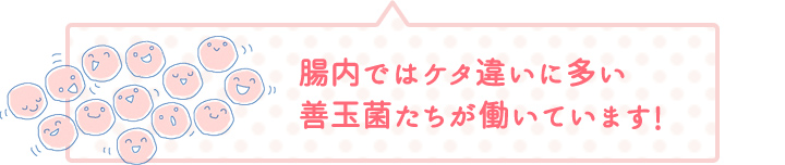 腸内ではケタ違いに多い善玉菌たちが働いています!