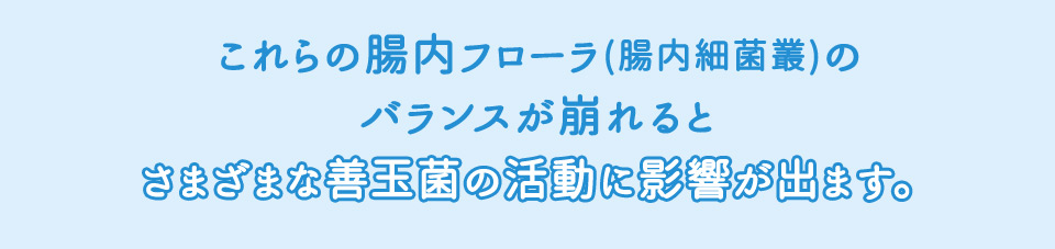 これらの腸内フローラ(腸内細菌叢)のバランスが崩れるとさまざまな善玉菌の活動に影響が出ます。