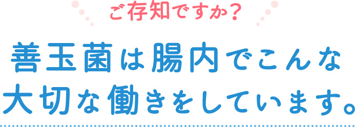 善玉菌は腸内でこんな大切な働きをしています。