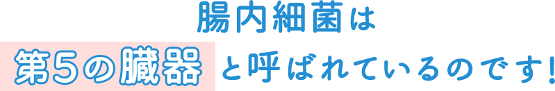 腸内細菌は第５の臓器と呼ばれているのです！