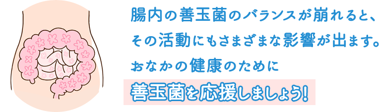 腸内の善玉菌のバランスが崩れると、その活動にもさまざまな影響が出ます。おなかの健康のために善玉菌を応援しましょう！