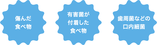 傷んだ食べ物・有害菌が付着した食べ物・歯周菌などの口内細菌